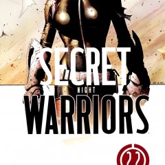 Secret-Warriors-Vol-1-22-b743eb0f7c32ce1007e6b2e056859cc4.jpg
