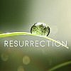 Resurrection vzkříšeno nebude