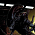 Alien - Komiksové série Alien a Predator přecházejí pod správu Marvelu