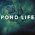 Doctor Who - Pentalogie prequelů Pond Life