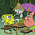 SpongeBob SquarePants - S03E03: Club SpongeBob