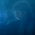 Star Wars - V novém videu skuteční Force Ghosti pomáhají Rey v boji proti Palpatinovi