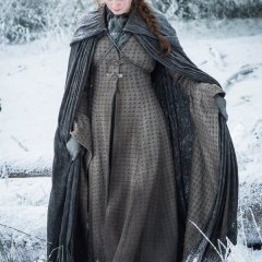 Sansa-outside-Winterfell-Official-Season-6-87c63004d8fe854a8faefcfa01d35aca.jpg