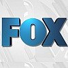 FOX v číslech - statistiky, podíly, budoucnost