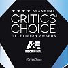 Kritici zvolili: Nejlepší seriály jsou The Americans, Silicon Valley a Olive Kitteridge