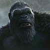 Godzilla a Kong se sjednotí proti společnému nepříteli