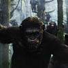 Natáčení nového dílu Planet of the Apes začne letos na podzim