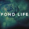 Pentalogie prequelů Pond Life