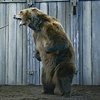 Anatomie scény - Medvědí jáma