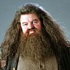Herec z Fantastických zvířat nevylučuje v dalším díle známé postavy z Harryho Pottera
