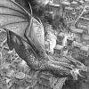 Přehled draků první série (část druhá)