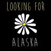 Román Hledání Aljašky se dočká televizního zpracování