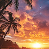 Přidejte si nový seriál NCIS: Hawai'i do Bedny