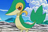 S14E07: Snivy Plays Hard to Catch!