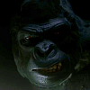Gorila Grodd hlásí návrat