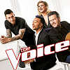 S14E11: The Voice: Best of Blinds and Battles