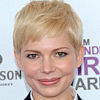 Michelle Williams ztvární Anne Weying