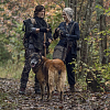 Po Maggie přichází řada na Daryla, nový díl se totiž bude soustředit především na něj