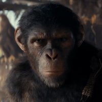 Království Planeta opic v nabušeném traileru