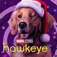 Promo fotografie k seriálu Hawkeye