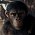Magazín - Království Planeta opic v nabušeném traileru