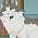 Family Guy - S19E19: Family Cat