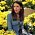 Gilmore Girls - Ankety: Vyberte vaše nej- zakončení série