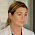 Grey's Anatomy - Chirurgy čeká přestávka v natáčení