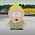 South Park - Z Butterse se stává dealer e-cigaret, což se rozhodně nelíbí Kyleovi a Cartmanovi