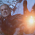 The Witcher - Která znamení Geralt použil v průběhu druhé série?