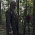 The Walking Dead - Tvůrkyně Angela Kang a herec Ryan Hurst se vyjádřili k Betově původu