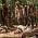 The Walking Dead - Desátá řada The Walking Dead se představuje ve druhé upoutávce
