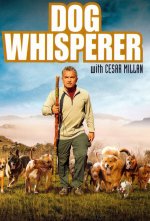 Dog Whisperer with Cesar Milan