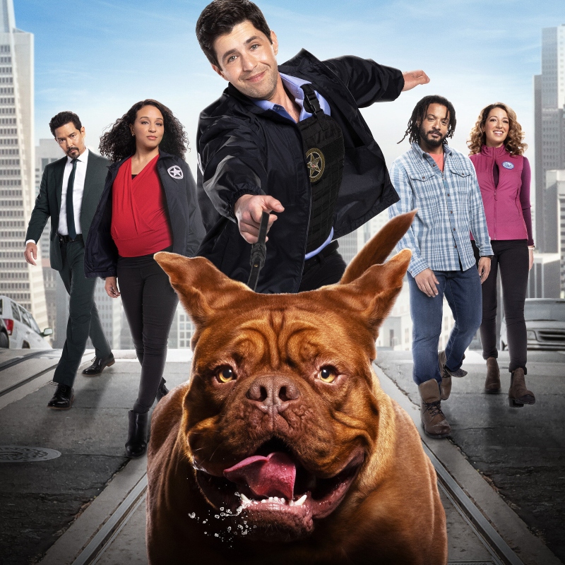 S01E01: Forever and a Dog